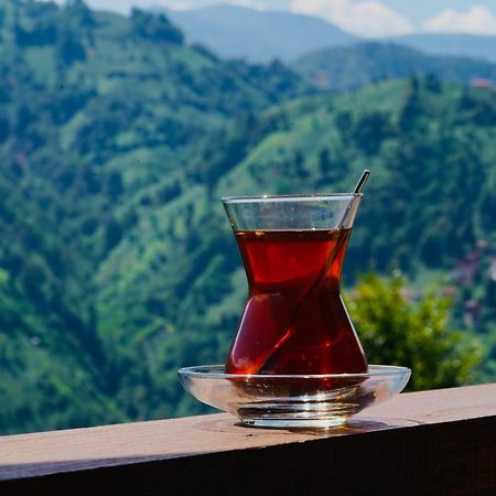 Pathika Bungalov Çamlıhemşin Exteriér fotografie